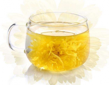 皇菊茶