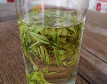 白茶