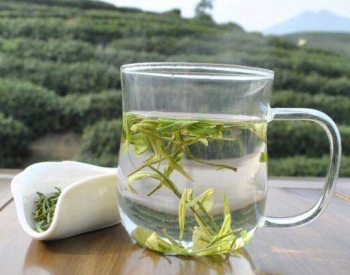白茶